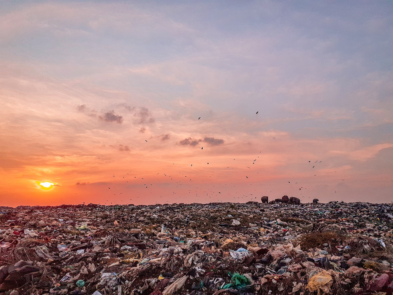 ウォーターサーバーの使用がプラスチックゴミ削減にどのように貢献するのか？