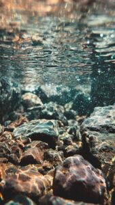 天然水の種類にはどんな違いがあるのか解説しますか？