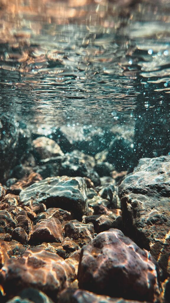 天然水の種類にはどんな違いがあるのか解説しますか？