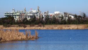 浄水型一人暮らしに最適な宅配水の比較ポイントは？