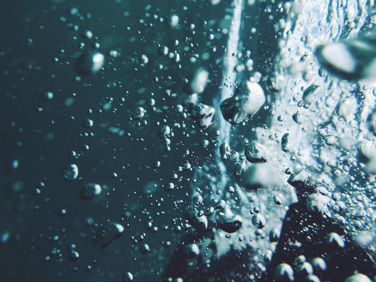 浄水型宅配水を一人暮らし向けに比較する際のポイントは？