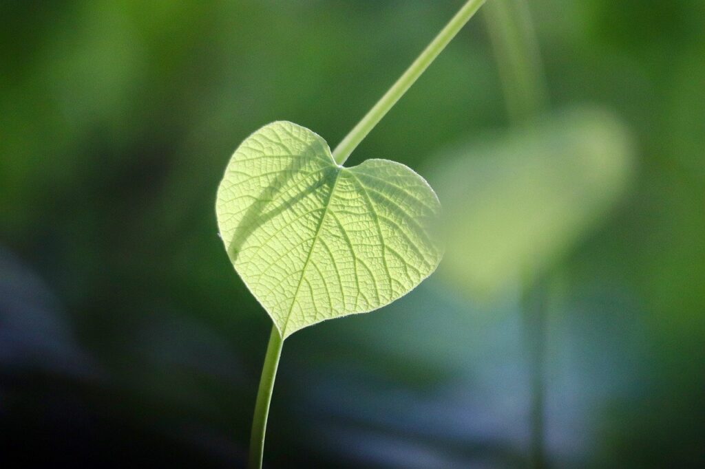 一人暮らしに最適な安い浄水型ウォーターサーバーはどれ？