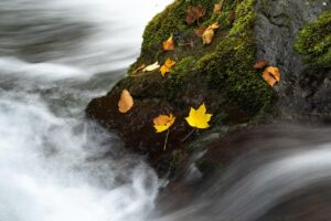 天然水を飲むメリットとは何ですか？