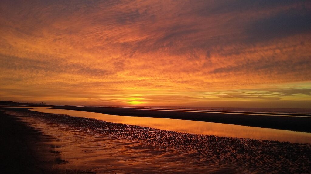 宅配水サーバーの特典を比較するとどんなメリットがあるの？