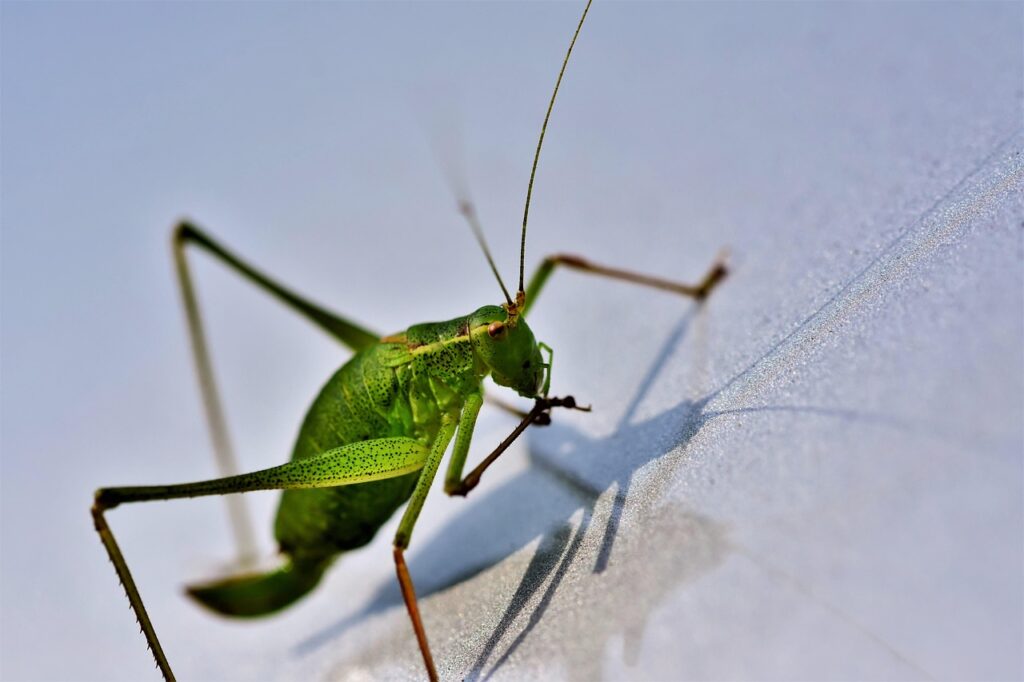 宅配水サーバーの配送をスキップする方法は？