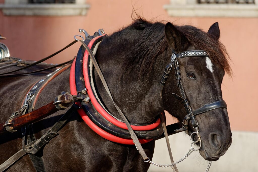 宅配水サーバーを法人が利用するメリットとは？