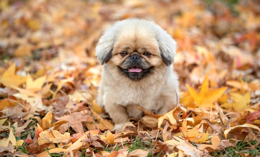 不具合の相談はどこにすればいいの？