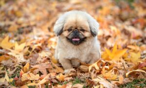 不具合の相談はどこにすればいいの？