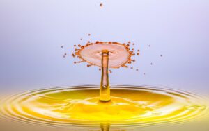 宅配水サーバーのエコ機能を比較するとどんな違いがあるの？