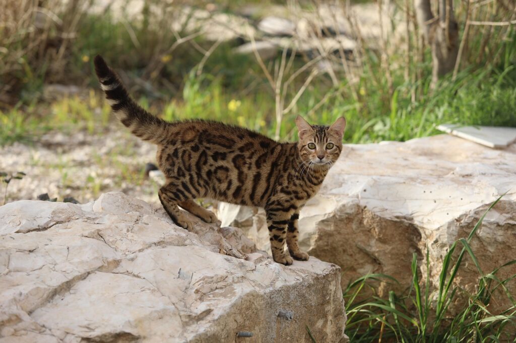 宅配水サーバー選びで失敗しないためのポイントは？