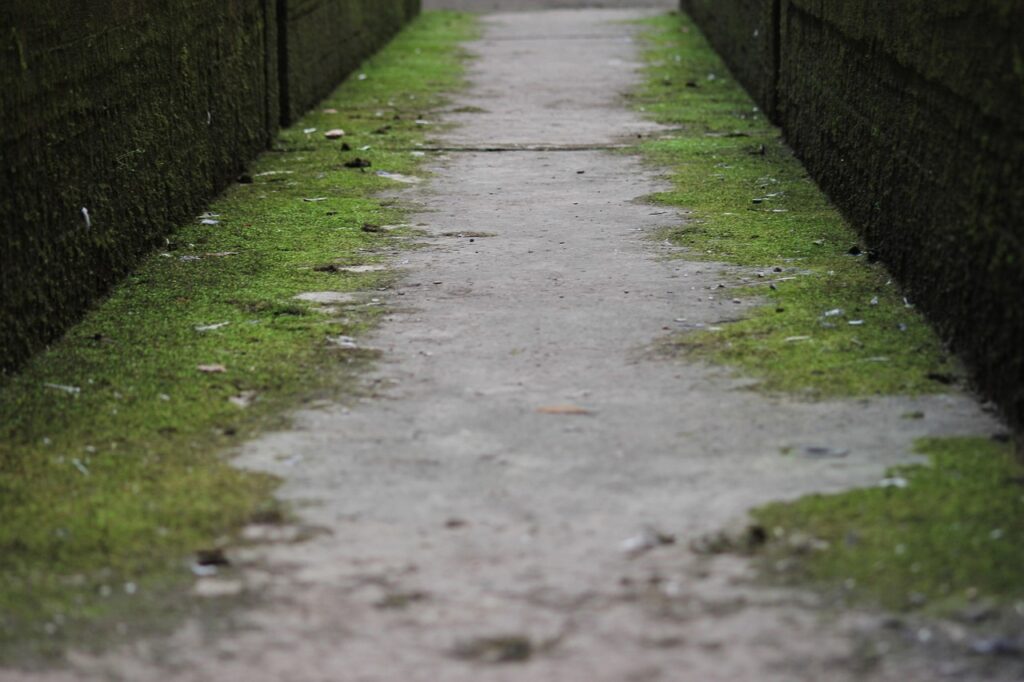 床置き型の比較で選ぶべきポイントは？