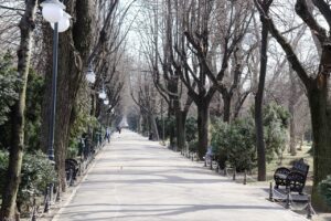 RO水の安全性について知っておくべきポイントは？