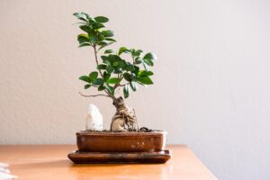 ウォーターサーバーをリビングに置く際のおしゃれな選び方は？