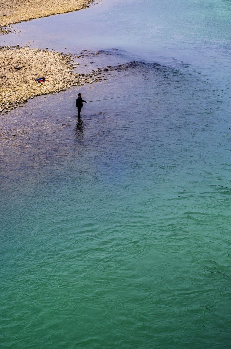 宅配水サーバーの水の種類の違いは何ですか？