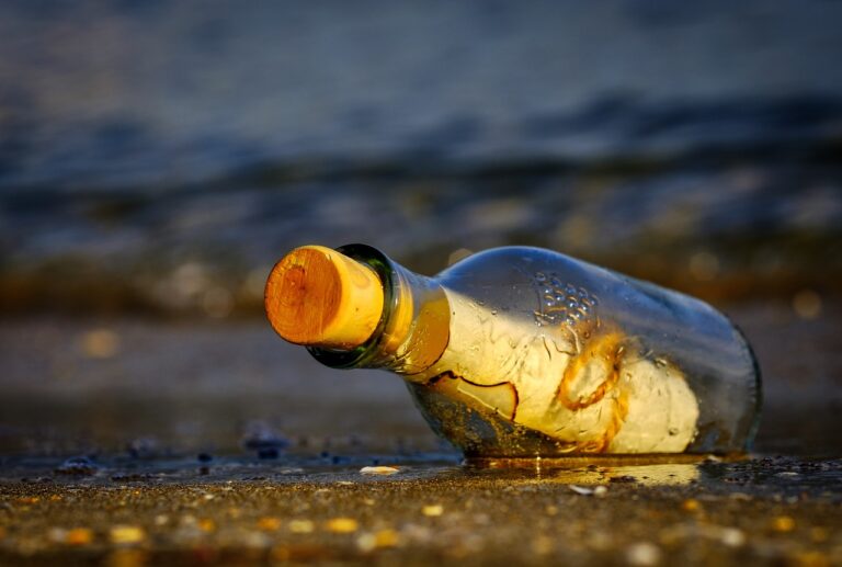 宅配水サーバーのボトル回収はあり？手間やコストを徹底解説！