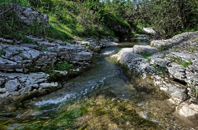 信濃湧水の魅力とは？選ぶべき理由とその効果は？
