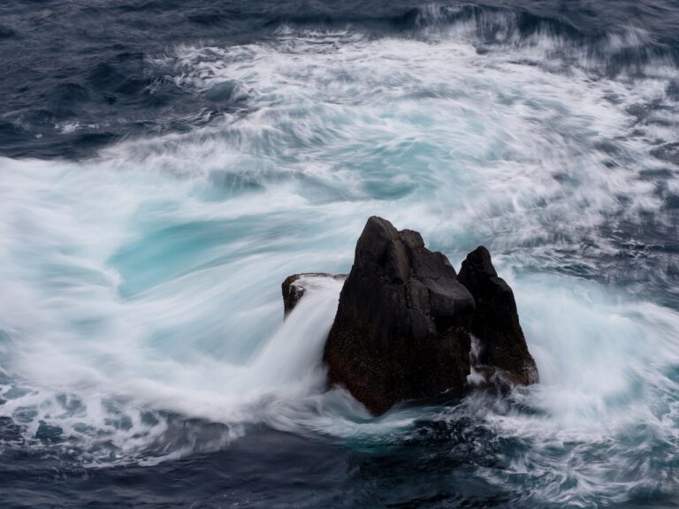宅配水サーバーのデメリットとは？知識を深めて失敗を避ける方法は？