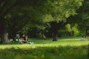 宅配水サーバーは家族向けに本当に最適？選び方と注意点を解説！